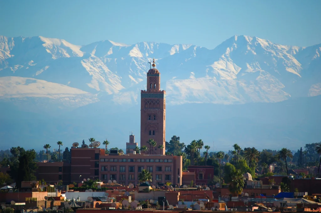 birdwatching from marrakech 
